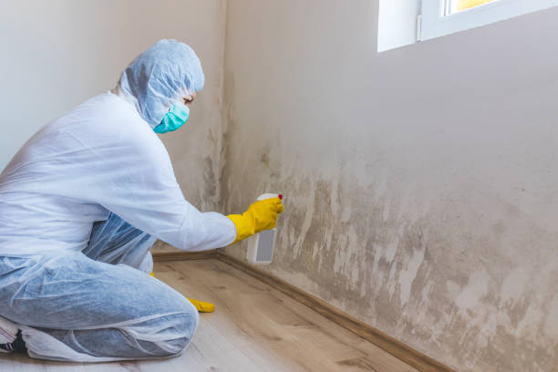 Mold Remediation specialist working in Greenville